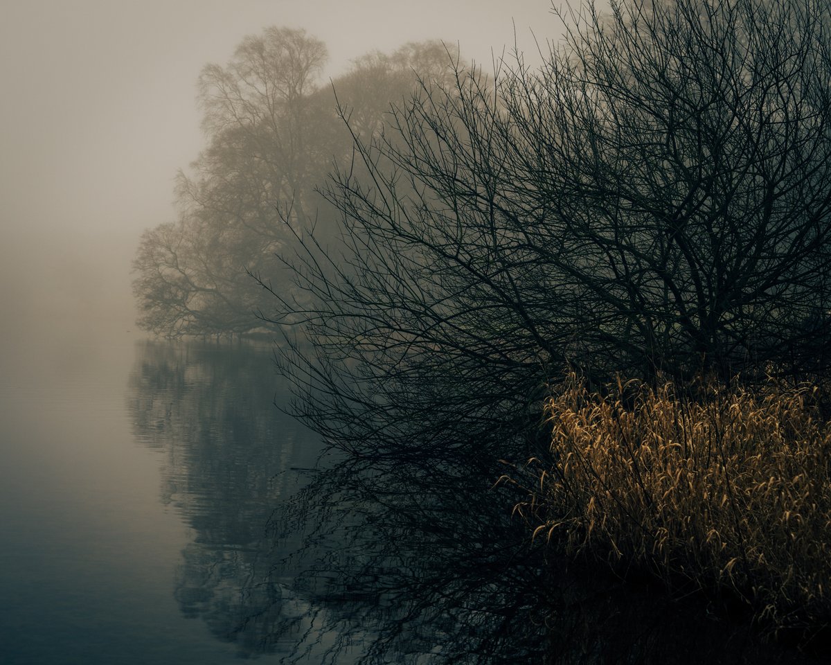 CorbettDonna's tweet photo. Misty morning at #Talkintarn
11 February 2024 https://t.co/96RhRj2MBu