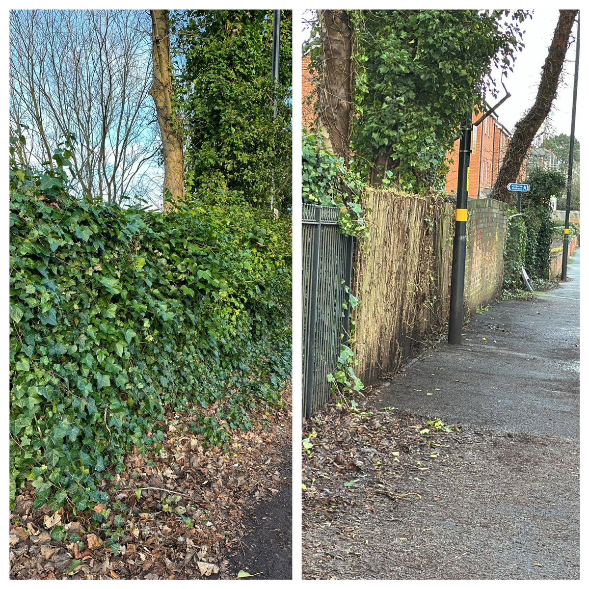 Great to see entrance to the Harborne walkway on Rotton Park Road cleared up after our intervention 👇🏼