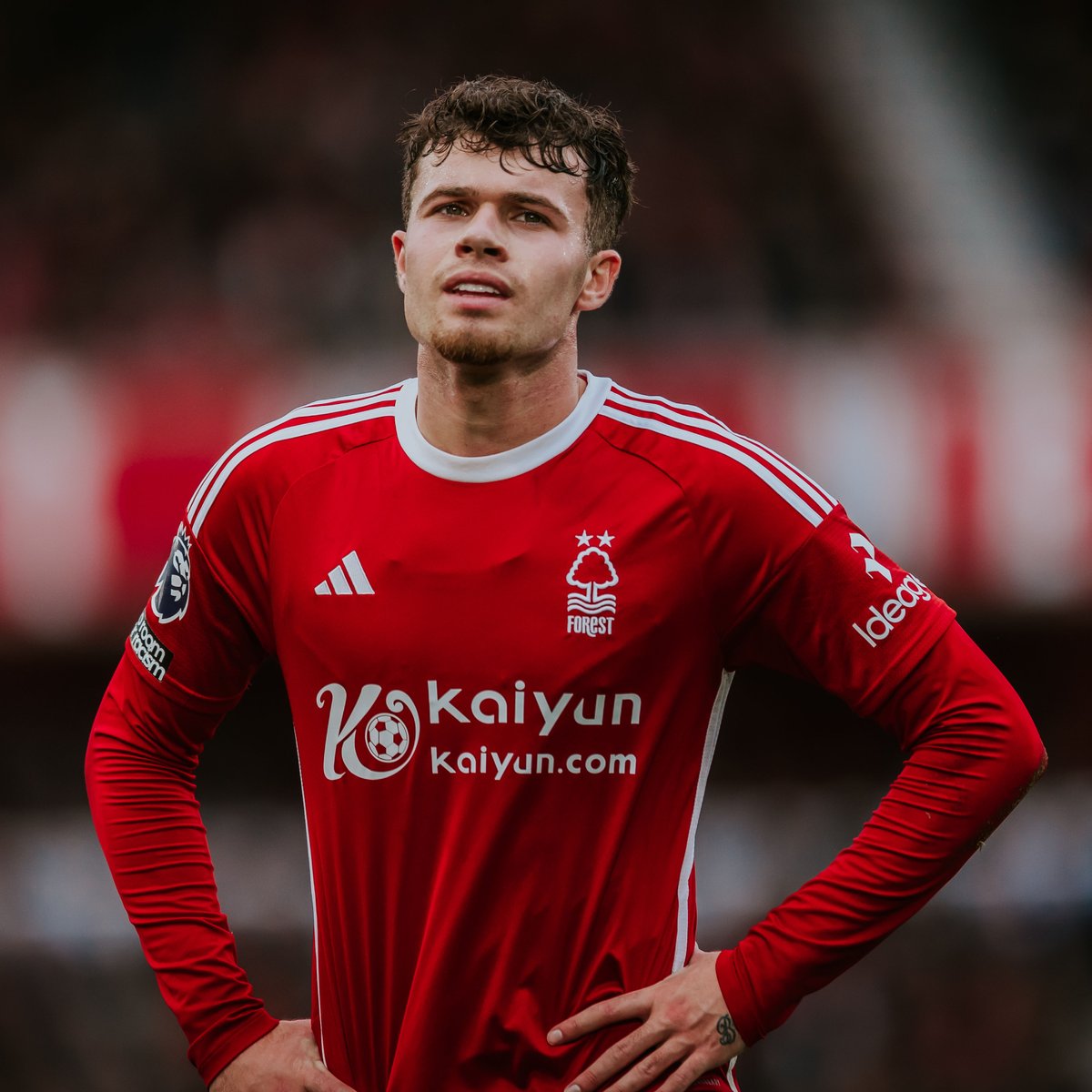 NFFC's tweet photo. ✨ @necowilliams01 appreciation post ✨ https://t.co/2VWUGfTJoS