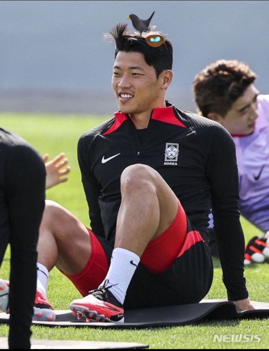 새집머리마저 귀엽다