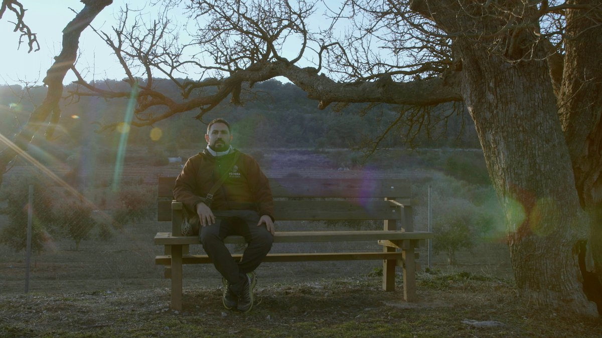 "Més que la sobreexplotació, és l'abandonament dels boscos de Catalunya. No hi ha pastures,  la gent no fa carboneres, no fa llenya, no hi ha ajuts per a gestió forestal... La tòfona silvestre ha anat desapareixent i l'alternativa va ser el cultiu".

🗡️ Dídac Espasa, tubericultor