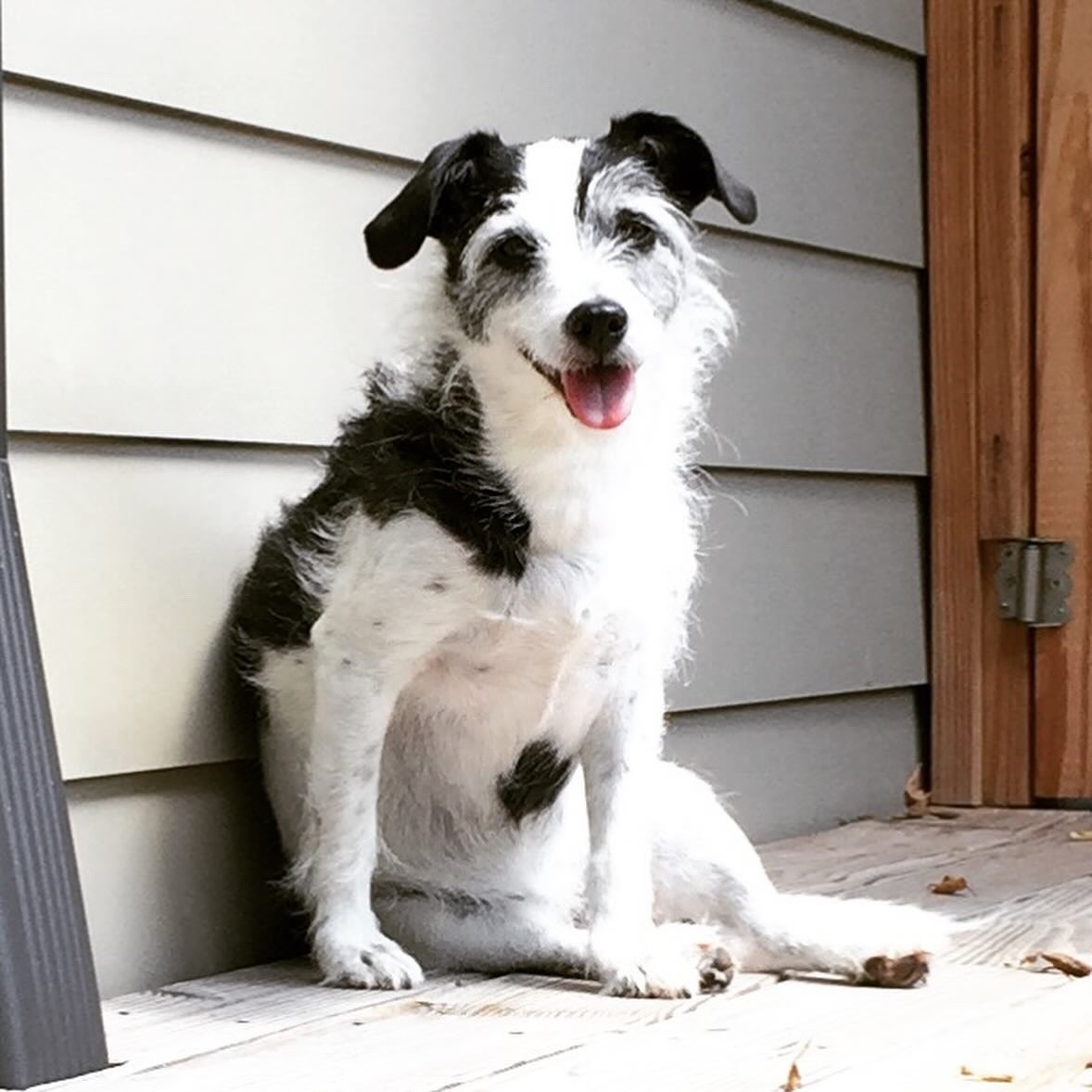 Tyler Thompson tweet media