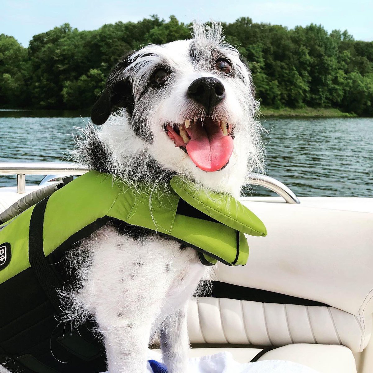 Tyler Thompson tweet media