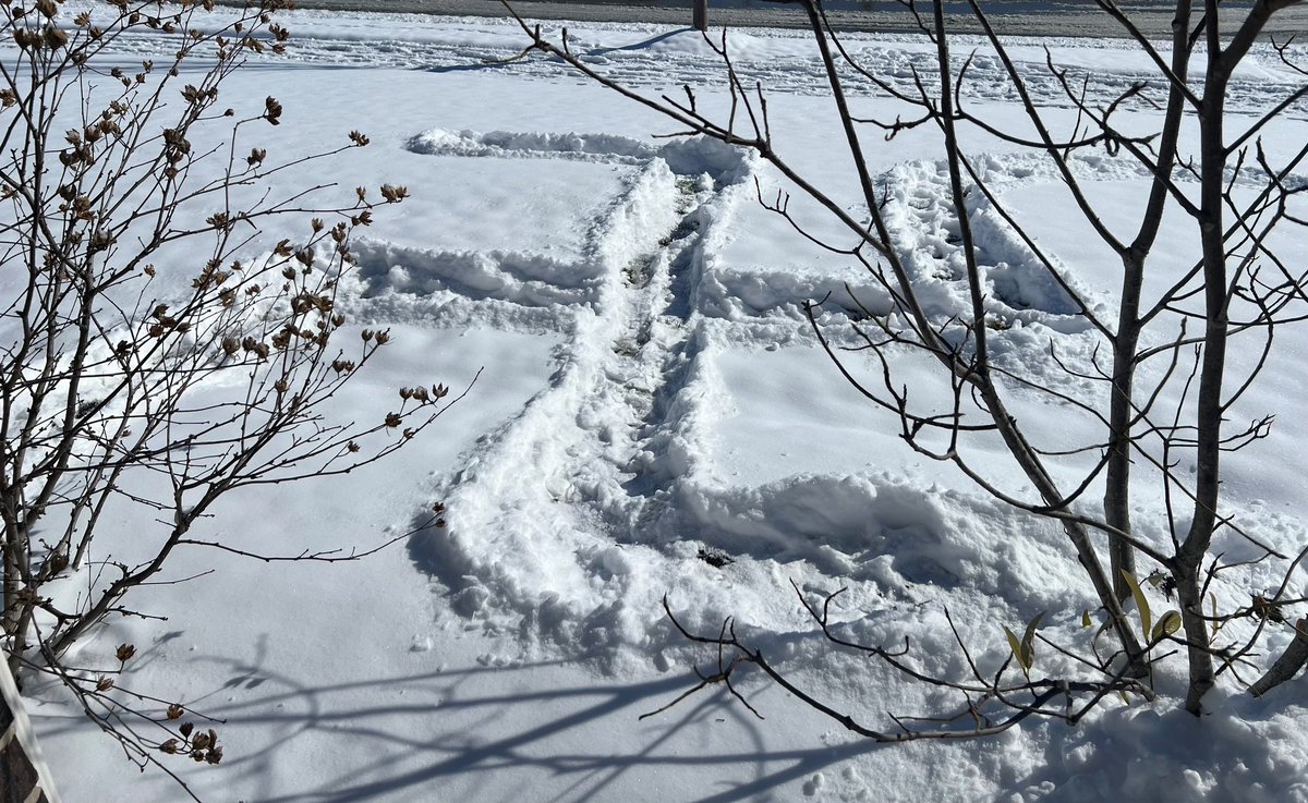 Max Lewis tweet media