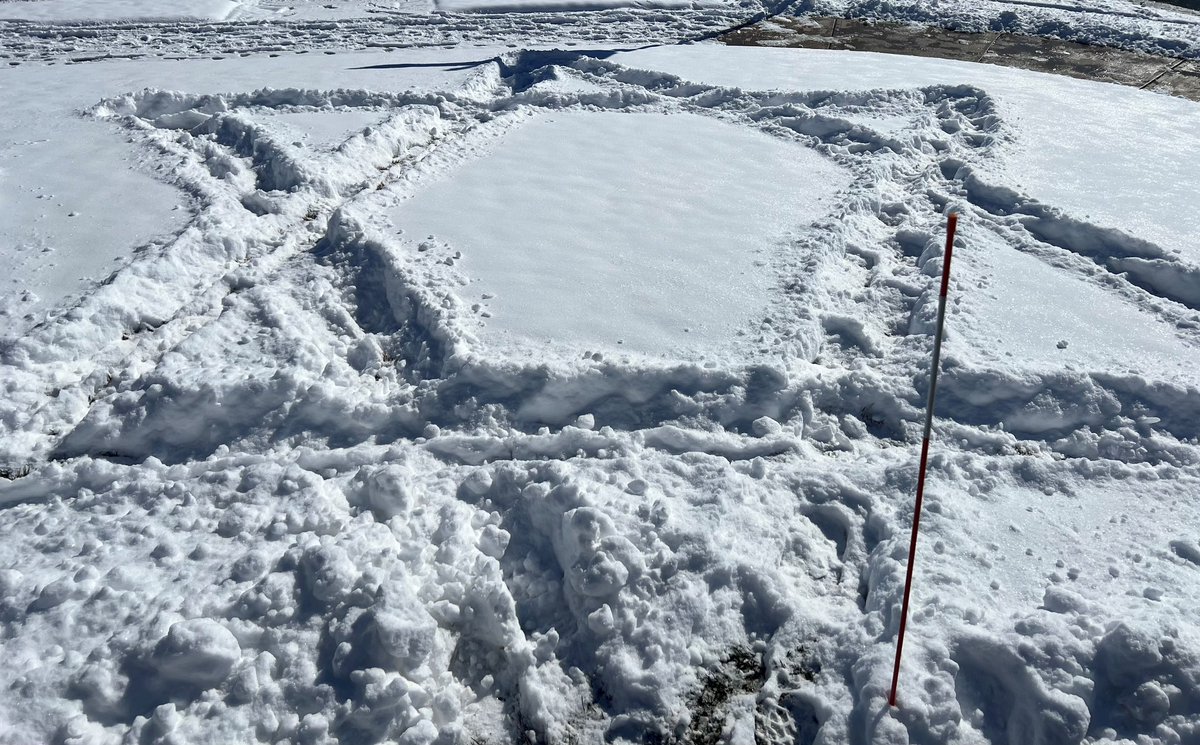 Max Lewis tweet media