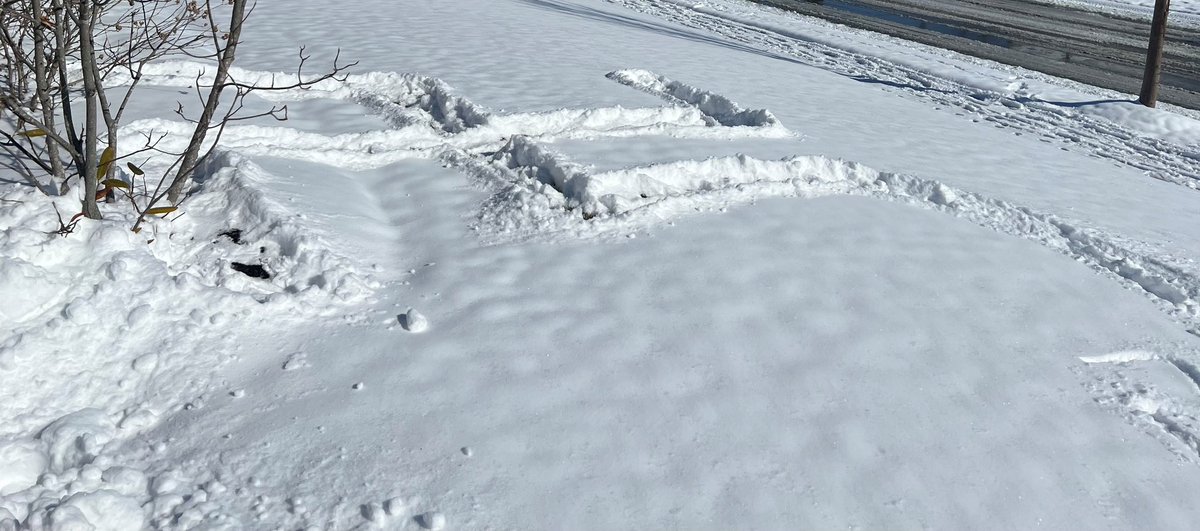 Max Lewis tweet media