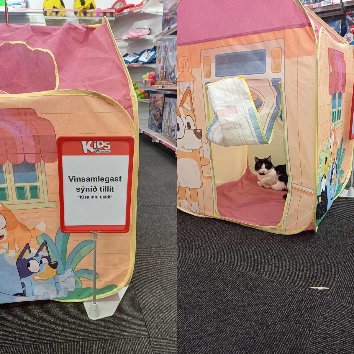 Ó hvað ég elska skeifukisurnar