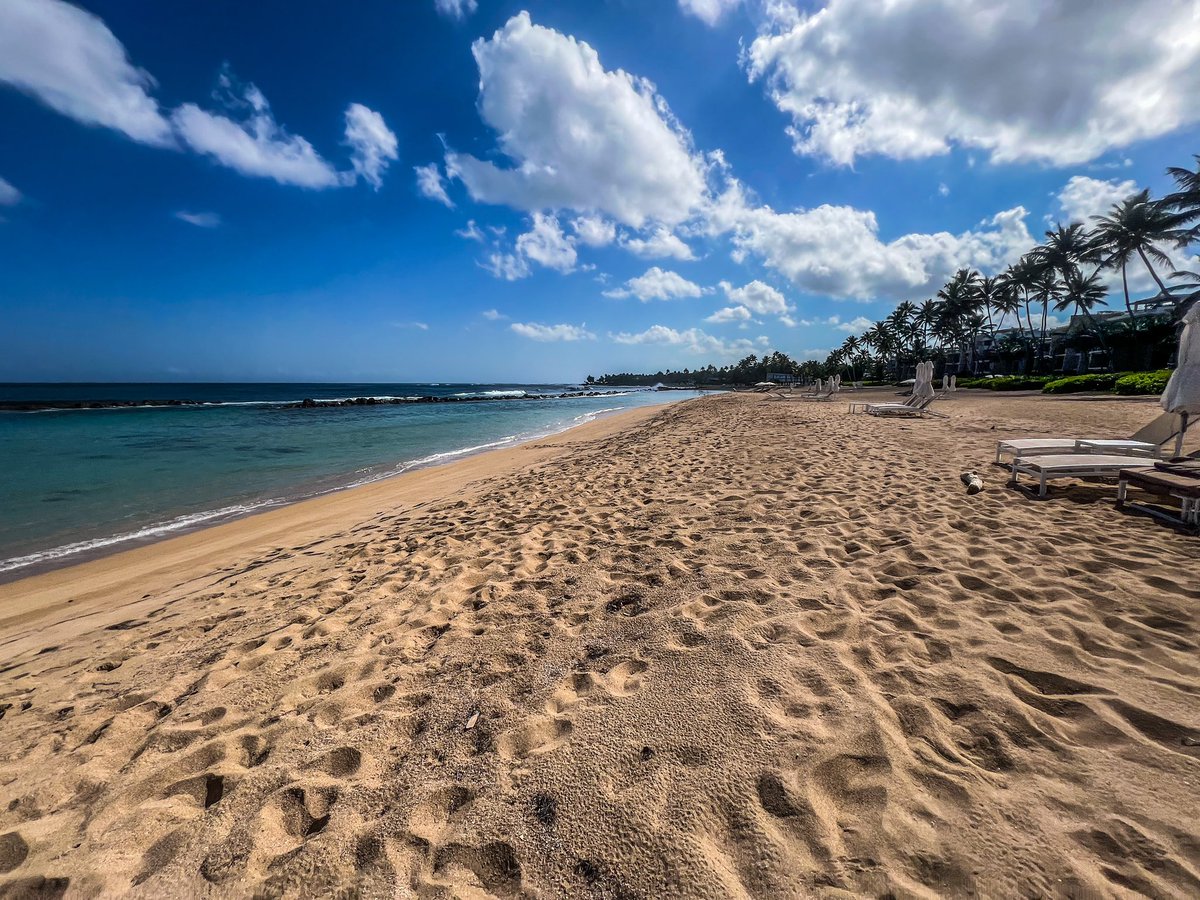 TainoNft's tweet photo. Long weekend? π Who knew? For me, every day's a long weekend in paradise! π΄ Love Puerto Rico! π΅π· #ParadiseLife #PuertoRico https://t.co/ZhXn08m3ok