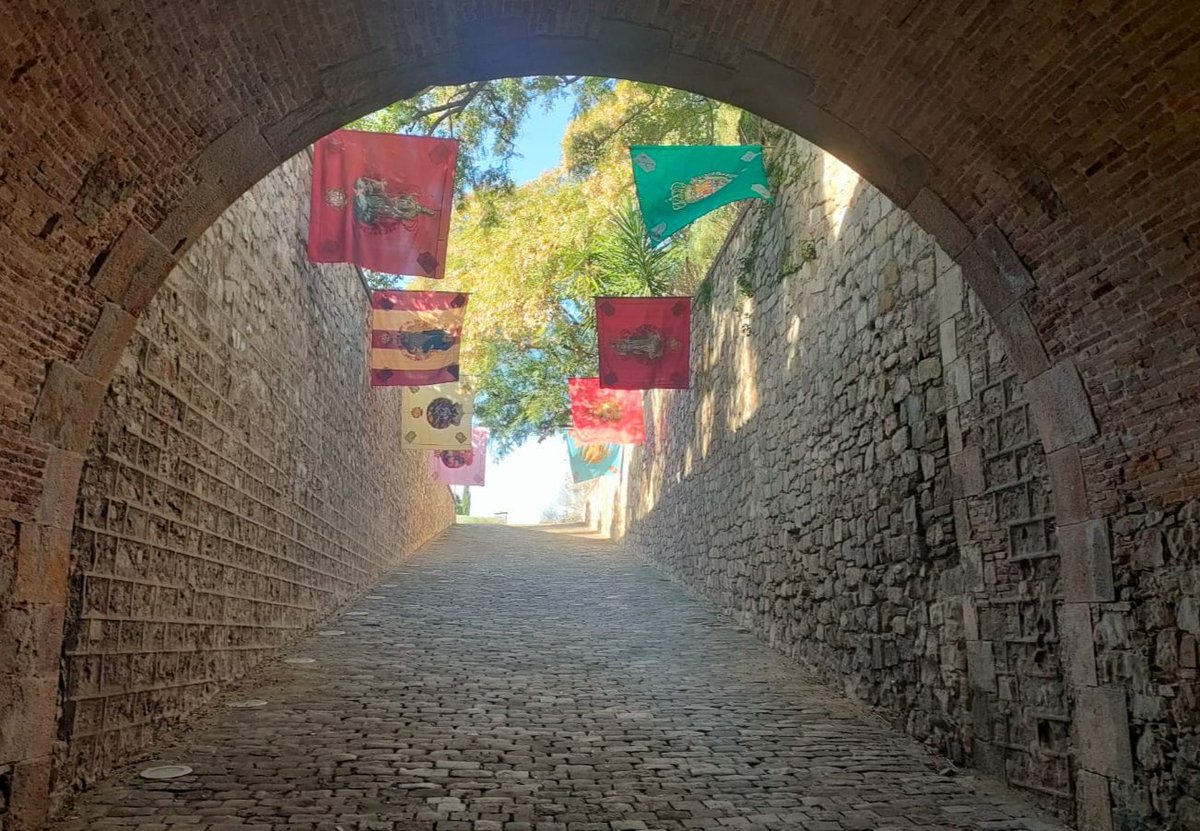 BcnCoronela's tweet photo. Avui hem recordat a #SantaEulàlia patrona de #Barcelona fins 1714.
T'agrada #Historia #HistoriaBarcelona #HistoriaCatalunya ?
T’esperem 1r i 3r diumenge en el #Baluard de #SantaMadrona, al costat de @MuseuMaritim d’11h a 14h #RecreacióHistòrica https://t.co/ZUt8vSaT4d