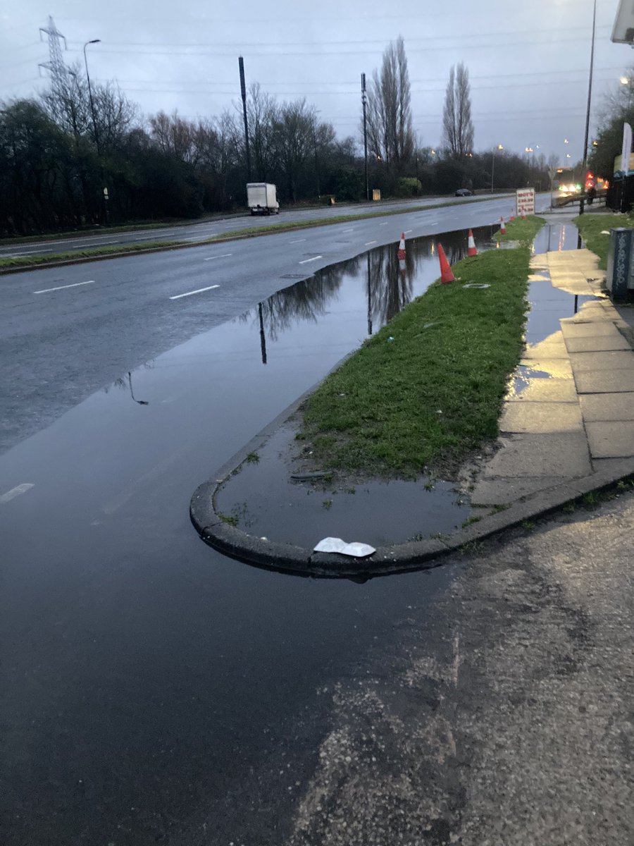 Puuuuuuuuuuuuuddle and a <a href="/Conecclesia/">Ecclesiastical Cones</a> set adrift.