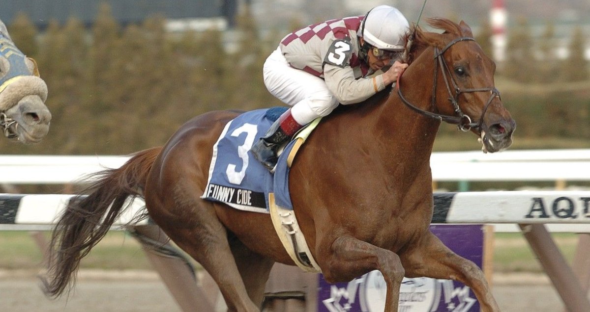 USASteeplechase's tweet photo. Your FAVORITE racehorse starting with the letter 'F' is _________? ๐ง
#Flyingbolt #Ferdinand #FunnyCide #Frankel https://t.co/Lr1dr6L9iM