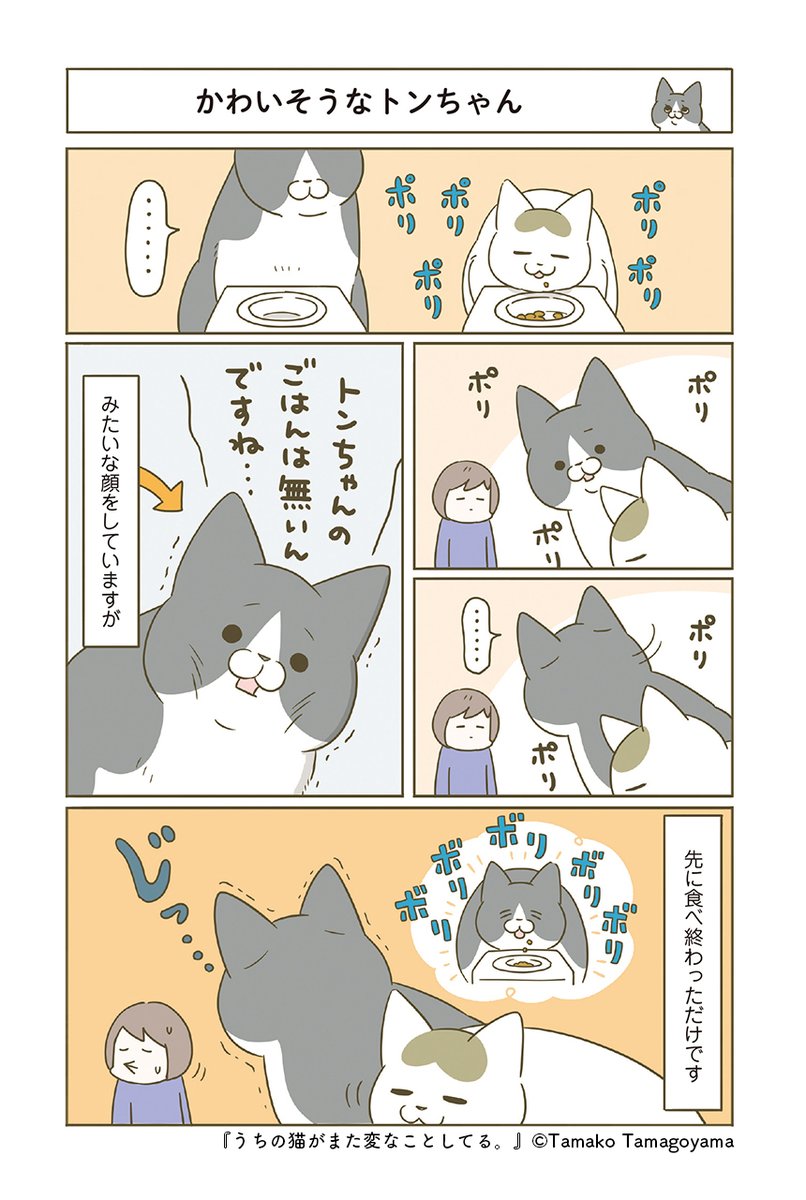 (2/4) 