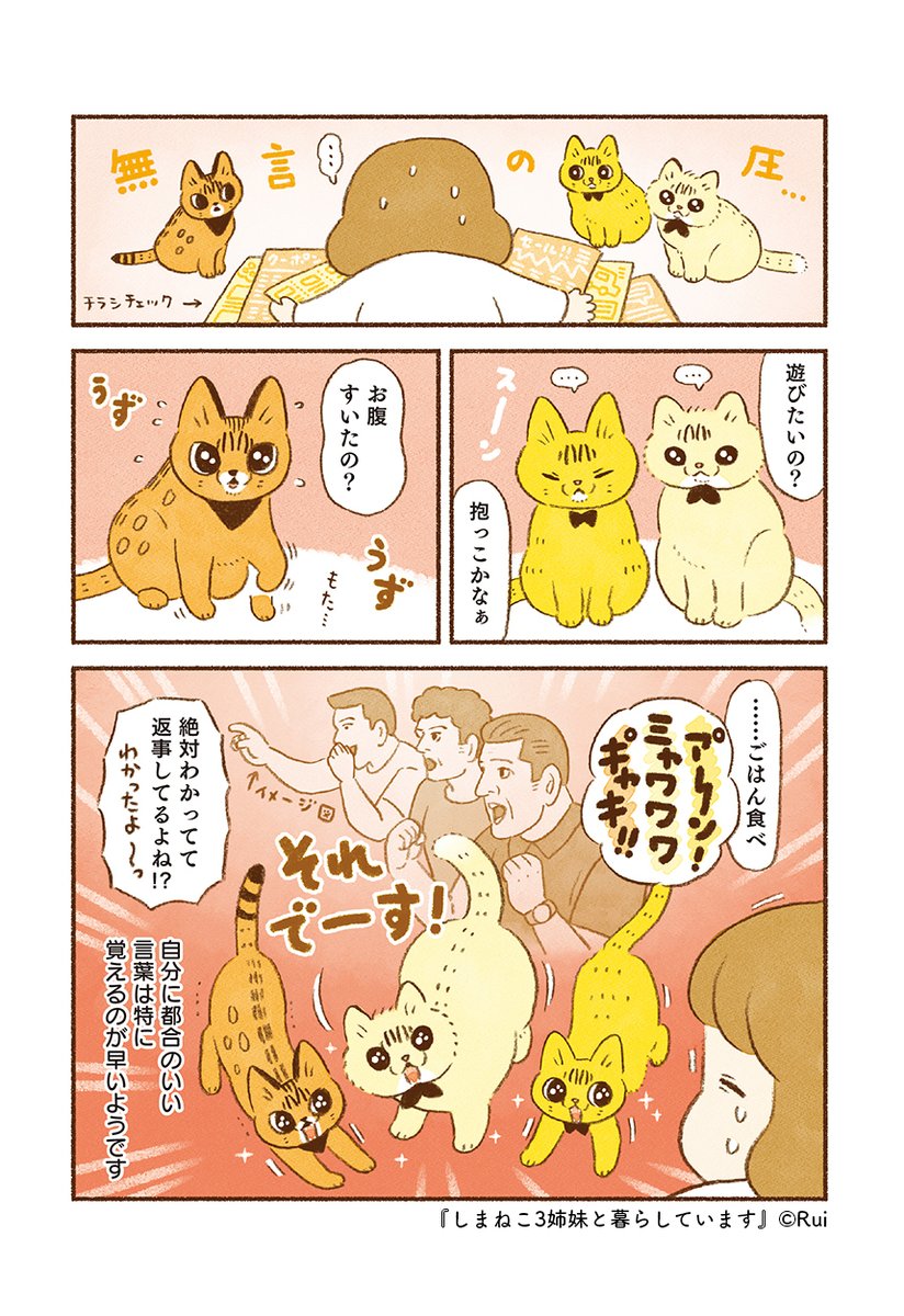 (3/4) 