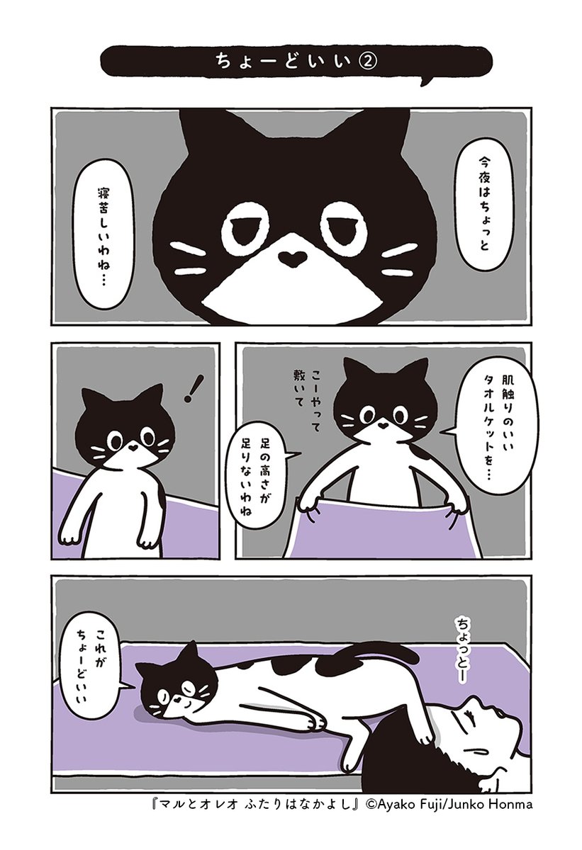 (4/4) 