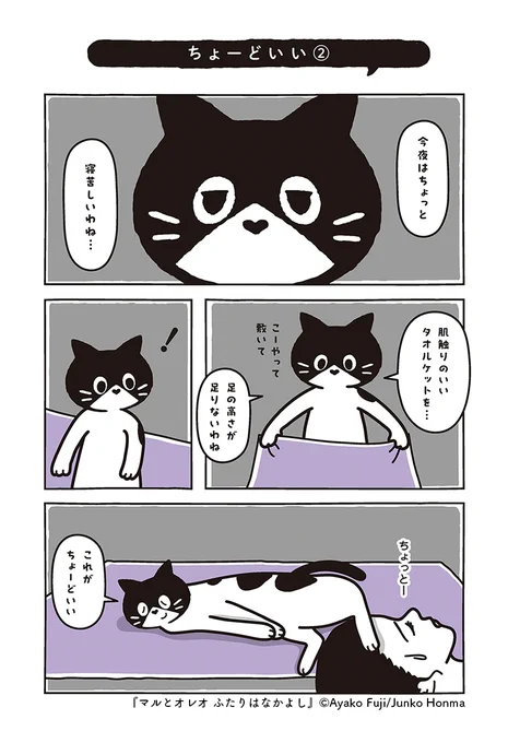 (4/4) 