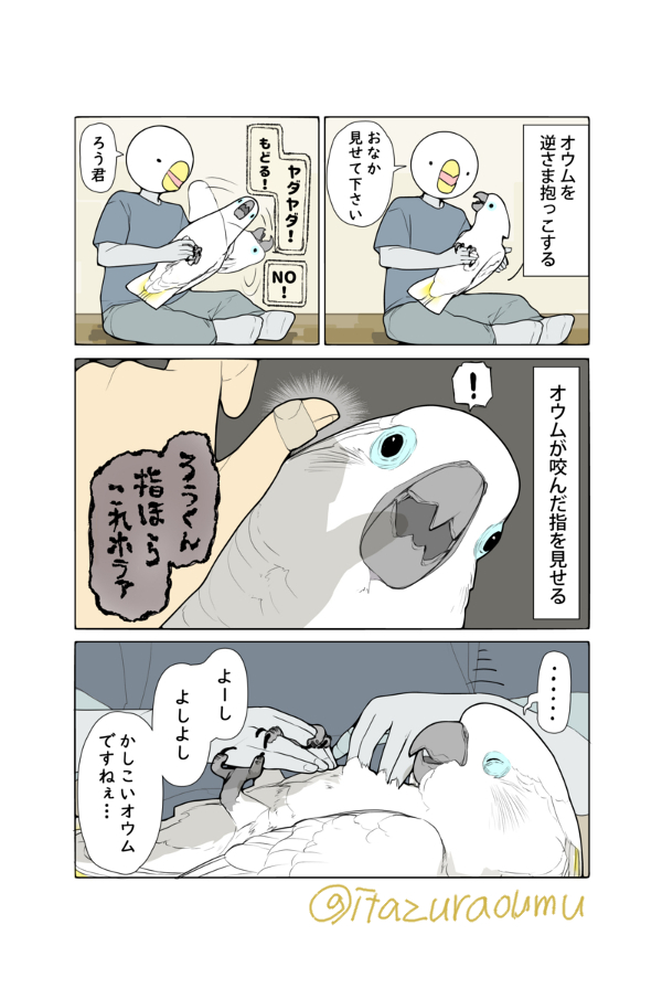 オウムに咬まれた話(2/2)
我が家のオウムは基本的に逆さ抱っこを嫌がります。
でもこういう時は話が別だそうで… 
