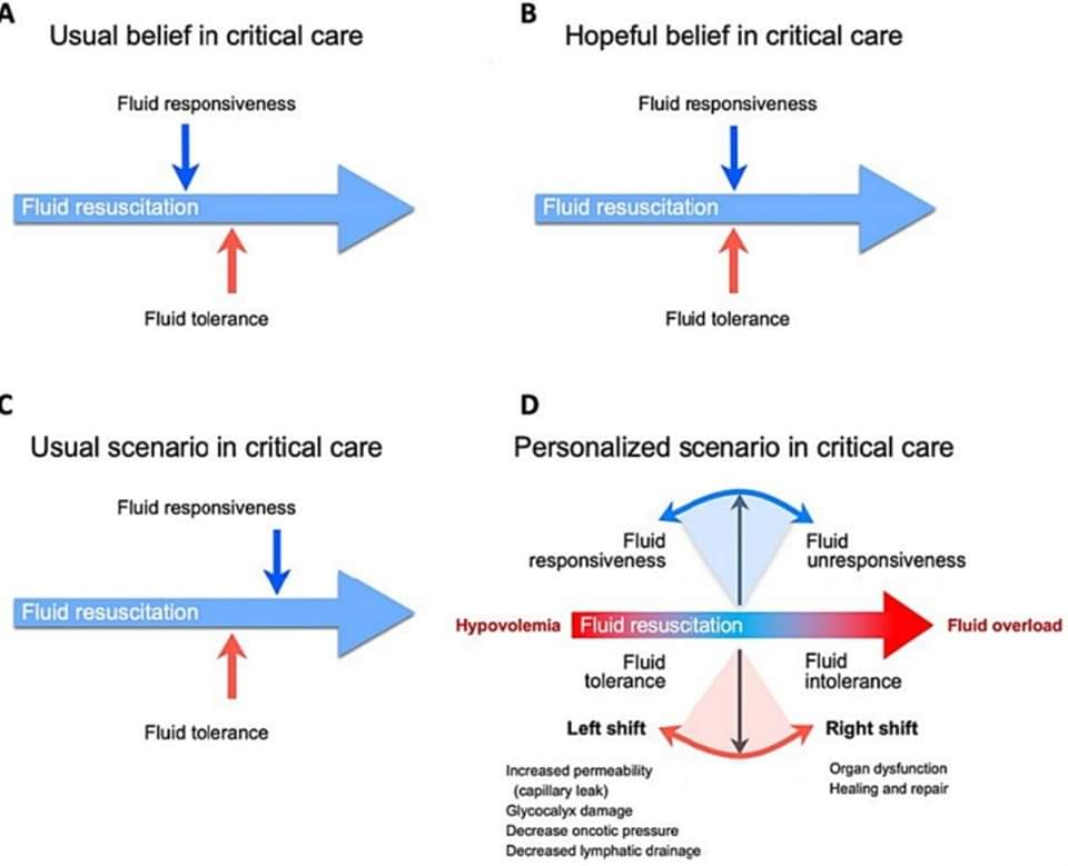 ZHeart11768530's tweet photo. 🔴 What every intensivist should know about the IVC #2024Review

https://t.co/X1PnzZ5kCU
#CardioEd #CardioTwitter #cardiology https://t.co/9WftLaI8la