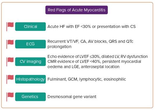 ZHeart11768530's tweet photo. 🔴 Red Flags in Acute Myocarditis #2024Review #openaccess 

https://t.co/d5YSProxu5
 #MedEd #CardioEd #CardioTwitter #cardiology #cardiovascular https://t.co/Gd0VxOYoBt