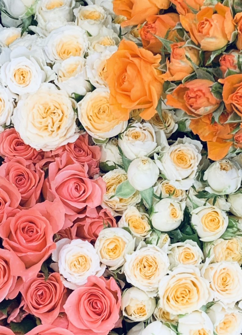 2024.2.19 𝐌𝐨𝐧𝐝𝐚𝐲
お誕生日を迎えました🎈
毎朝お花の写真をポストしていますꕤ︎︎·͜· ︎︎
見てくださってありがとうございます
少しの癒しになれたなら嬉しいです🌈