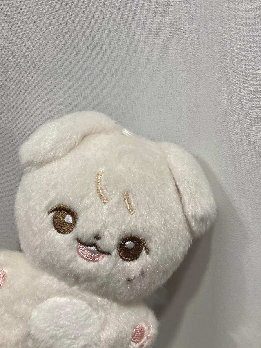 정우의 생일을 축하하며 #rt 추첨 한 분께 
쩡우리를 보내드려요 ՞•･•՞🐾

#스물여섯_정우도_변함없이_애쩡해 
#SUGARINGCANDYDAY