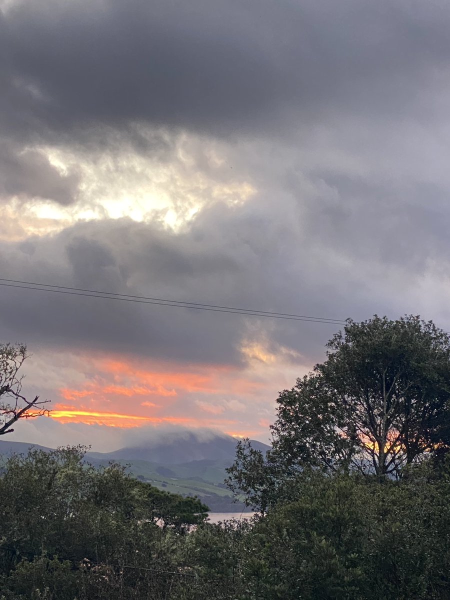 The West Marin Feed tweet media