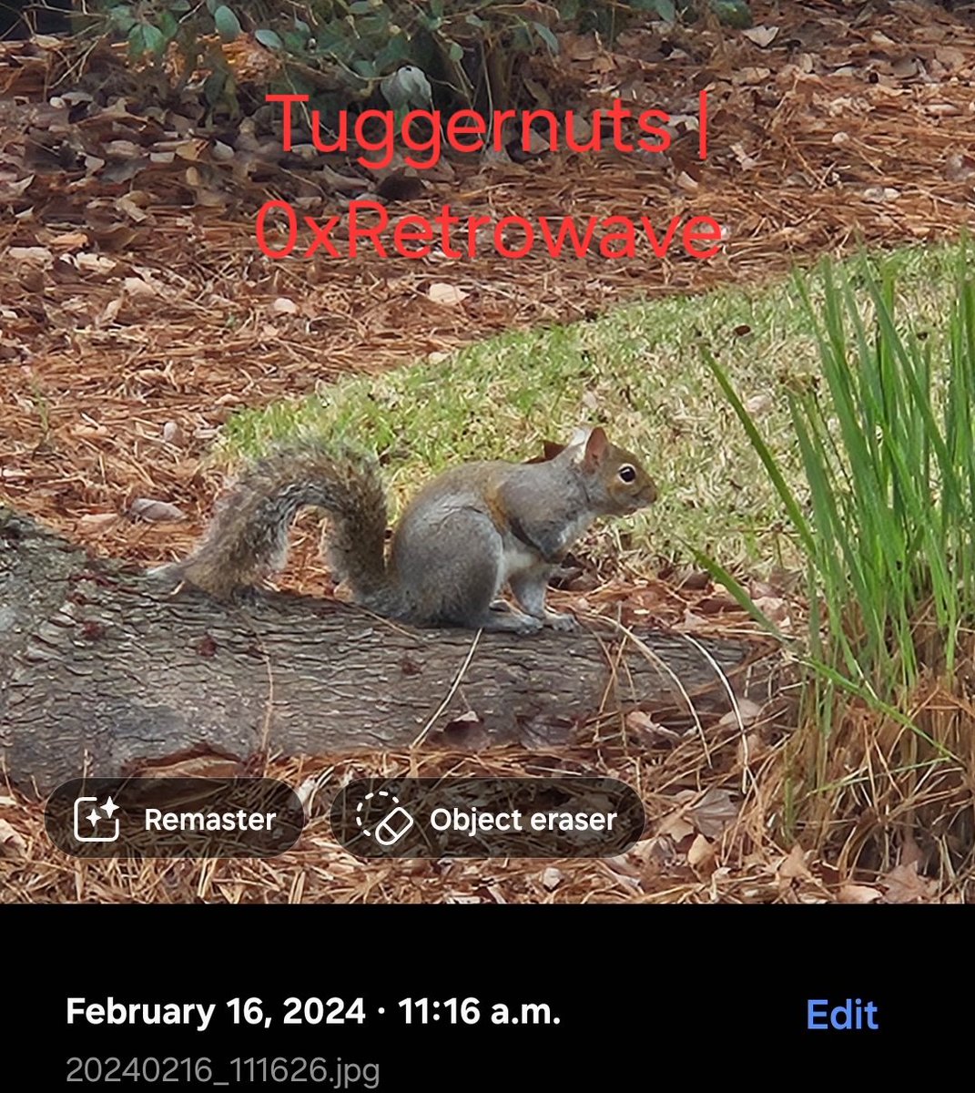 0xRetrowave.eth tweet media