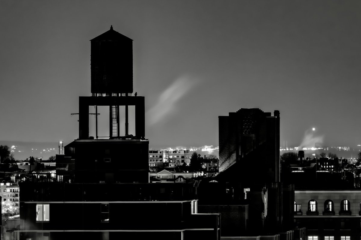 PBeiboer's tweet photo. Flaco trying a different 86th street water tower last night #birdcpp @BirdCentralPark https://t.co/QVhQtJAJQY