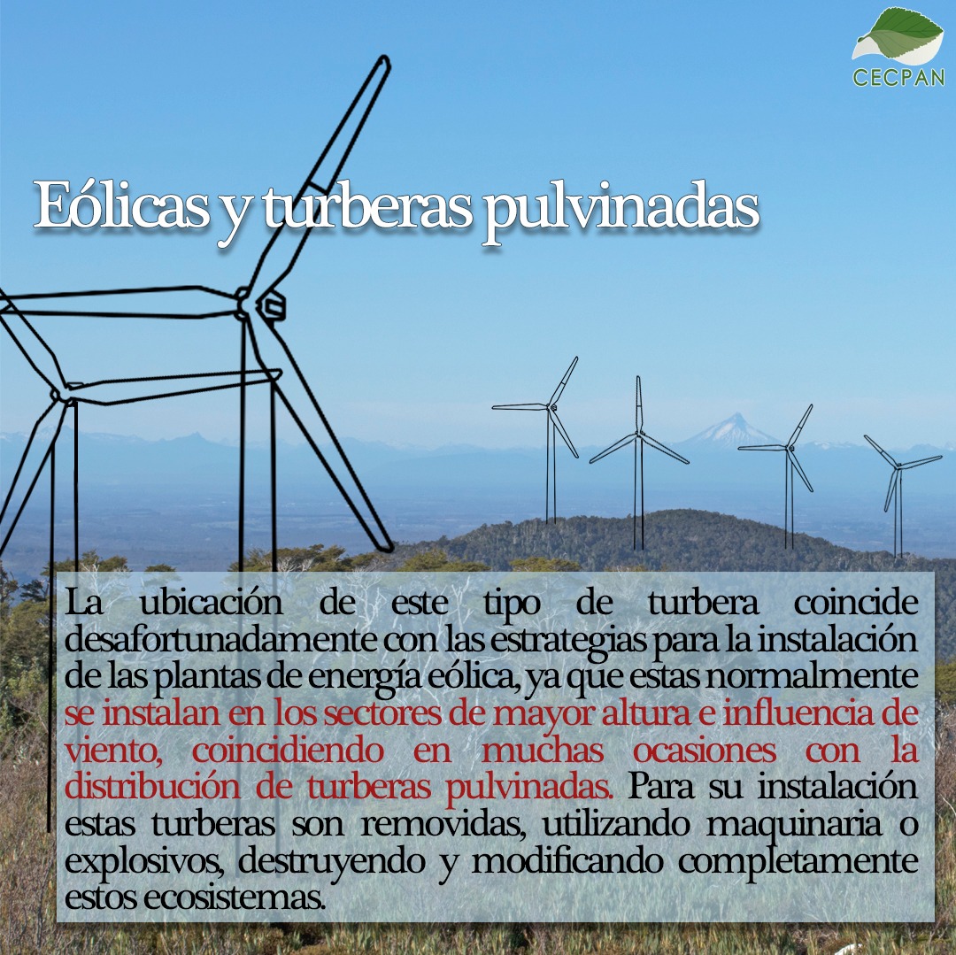 C. Gómez P (@clamargo) on Twitter photo <a href="/adiaztwr/">Humanoide Patipelao</a> <a href="/DefendamsChiloe/">❗️Defendamos Patagonia❗️</a> Saludos para usted. Efectivamente existen en la actualidad complejos energéticos ya instalados, en lugares donde abundan tuberas de altura (tundra magallánic); verdaderos fósiles vivientes.Más información en redes sociales <a href="/Chiloelibredel1/">Chiloe Libre del Saqueo Energético</a> <a href="/MawidaPiwchen/">Mawida Piwchen</a> <a href="/brava_mar/">Salvemos Mar Brava</a> <a href="/DefendamosG/">Defendamos_Gamboa</a> <a href="/adiaztwr/">Humanoide Patipelao</a> <a href="/DefendamsChiloe/">❗️Defendamos Patagonia❗️</a> Saludos para usted. Efectivamente existen en la actualidad complejos energéticos ya instalados, en lugares donde abundan tuberas de altura (tundra magallánic); verdaderos fósiles vivientes.Más información en redes sociales <a href="/Chiloelibredel1/">Chiloe Libre del Saqueo Energético</a> <a href="/MawidaPiwchen/">Mawida Piwchen</a> <a href="/brava_mar/">Salvemos Mar Brava</a> <a href="/DefendamosG/">Defendamos_Gamboa</a>