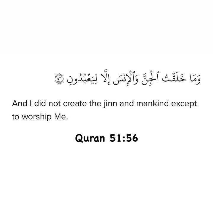7signxx's tweet photo. "And I did not create the jinn and mankind except to worship Me."

|Q 51:56| https://t.co/3rV99DwY9b