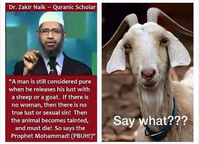 TheRudra1008's tweet photo. 𝗜𝘀𝗹𝗮𝗺 &amp; 𝗕𝗮𝗸𝗿𝗶 : 

"A man is still considered pure when he releases his lust with a sheep or a goat. If there is no woman, then there is no true lust or sexual sin! Then the animal becomes tainted, and must die! So says the Prophet Mohammad! (PBUH!)"

~ Dr. Zakir Naik https://t.co/QLbMhYyKwB