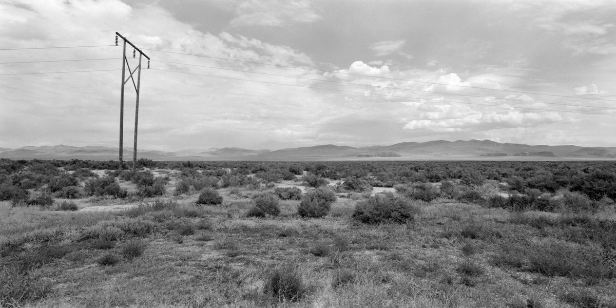 Mark Phillips - @vphill@digipres.club tweet media