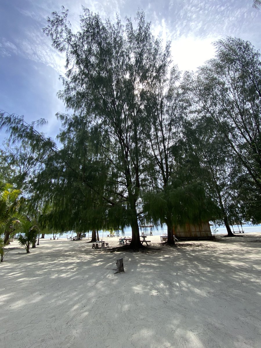 SymslW's tweet photo. Pulau dodola akan menjadi pulau favorit jika kemabali nanti ke kab. pulau morotai 🫶🏼 https://t.co/AYuSlvBYb5