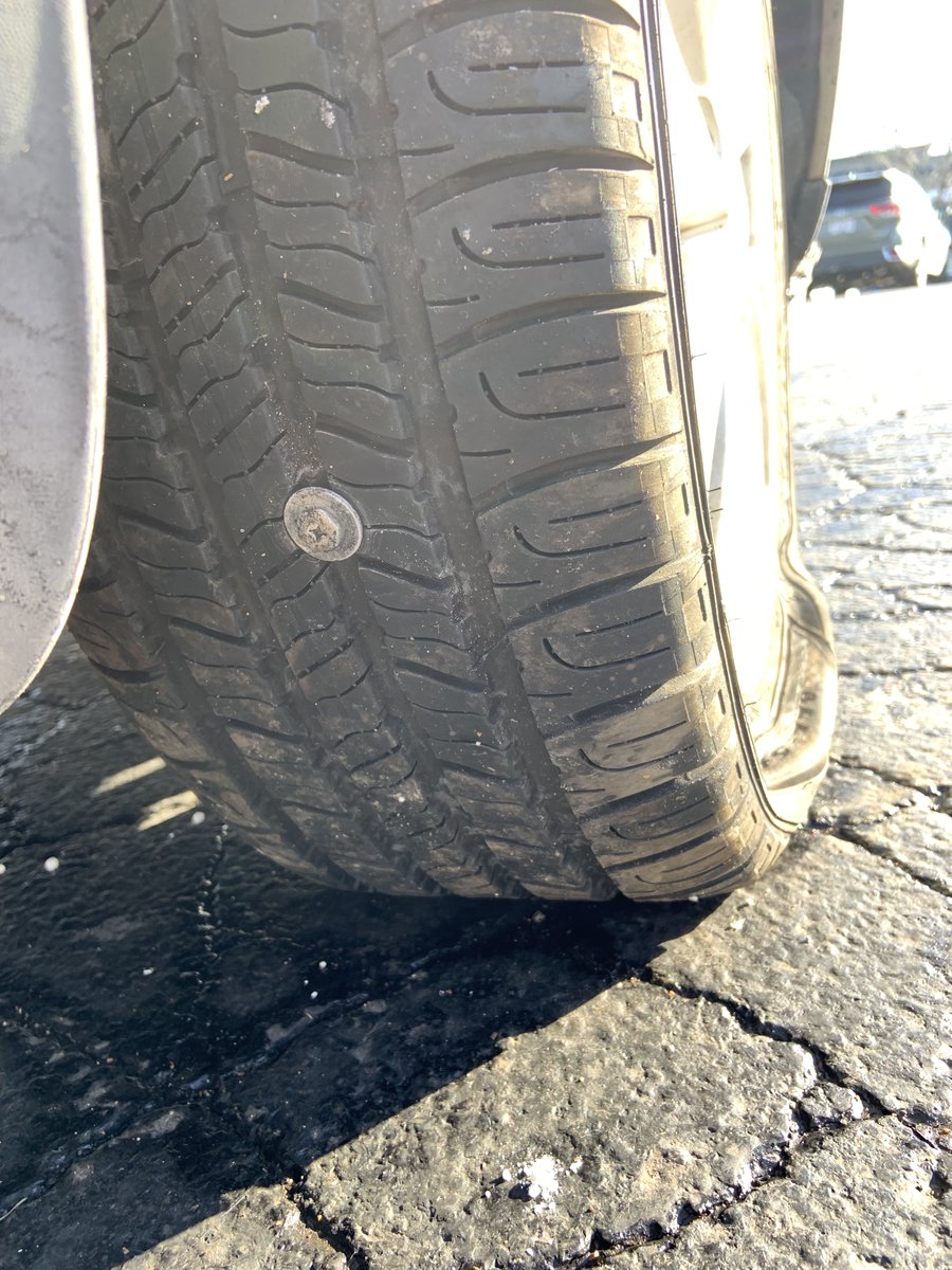 kats_clicks's tweet photo. Day 2:
Elk, a giant deer, a giant eyeball, and a flat tire.
Doesn't get more diverse than that!
#girlsweekend #stlouis #allinaday https://t.co/iuNnKS80CB