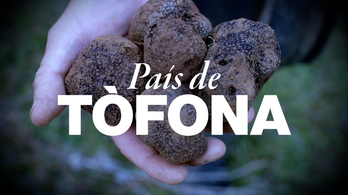 Aquesta nit a les 22.05h al <a href="/30minuts/">30 minuts</a> de TV3 i, quan volgueu, al <a href="/som3cat/">3Cat</a> a la carta.

Visca la terra ✊