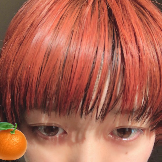 「mandarin orange short hair」 illustration images(Latest)