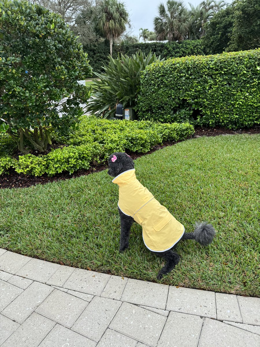 Beth Topinka tweet media