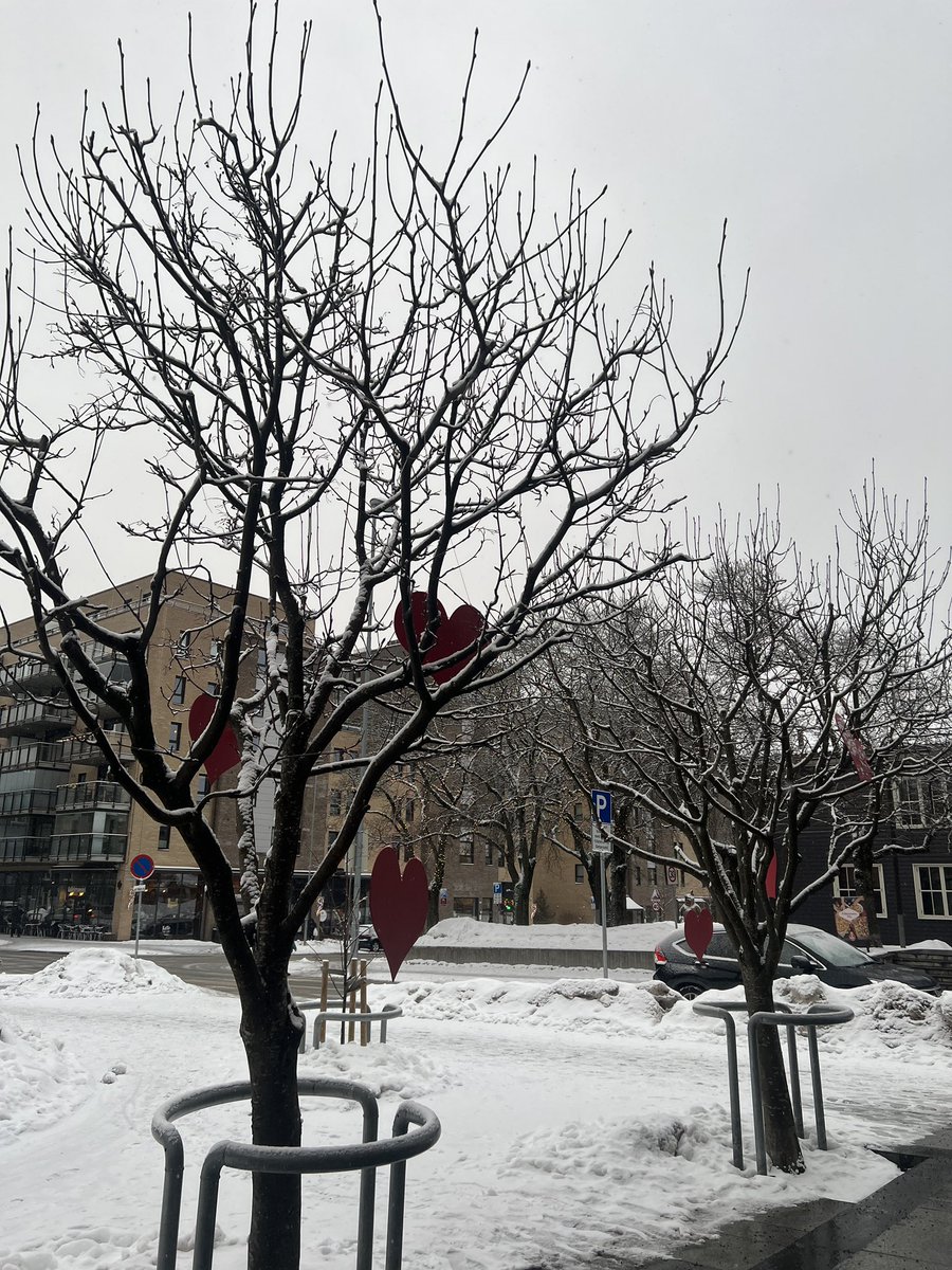 SveinTorill's tweet photo. Lovely snow-shiny🌨️✨

#pokemongo #shinypokemon https://t.co/GiXLqleDA6