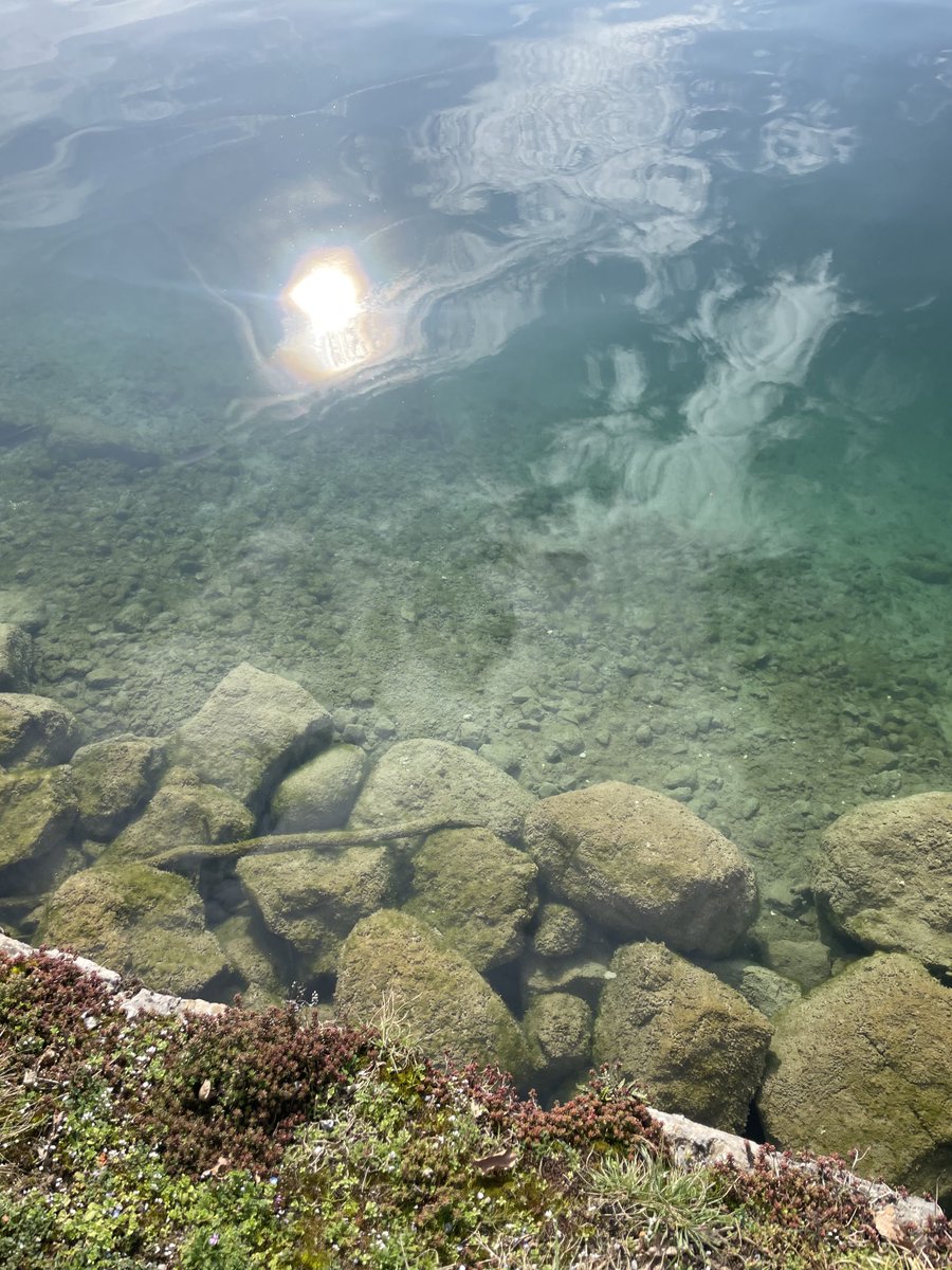 ALASTAIR CAMPBELL tweet media