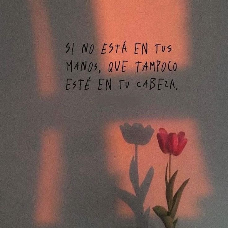 🌙 mini textos (@soyminitextos) on Twitter photo  🌙 mini textos (@soyminitextos) on Twitter photo