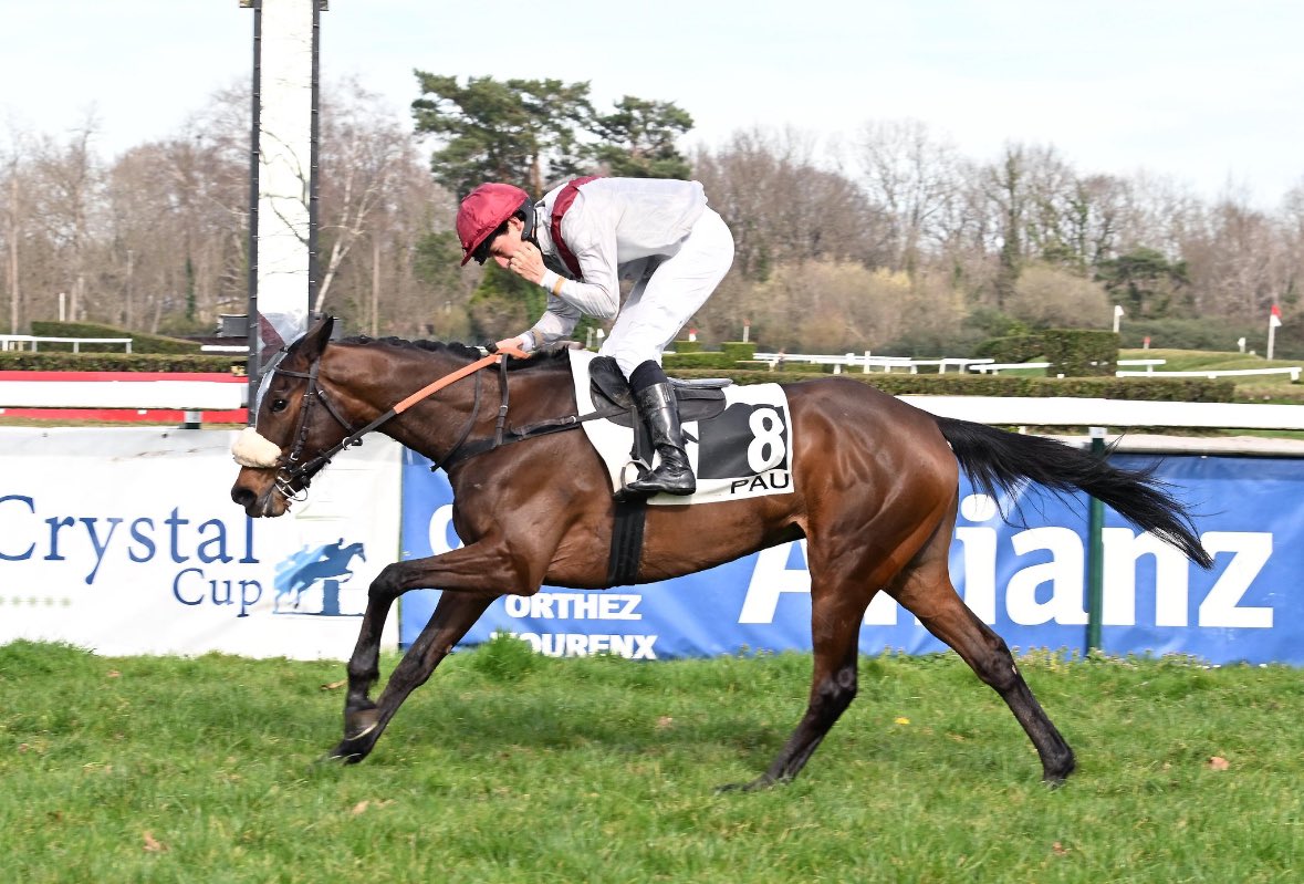 🎯Koriste (<a href="/HarasDeCercy/">Haras De Cercy</a> Cokoriko) wins the Prix Palaminy Listed Race <a href="/Hippodrome_Pau/">Hippodrome de Pau</a> for Jerome Delaunay and Team Spirit <a href="/RomainDETRE1/">Romain DETRE</a> <a href="/DetrDetre/">Patrice Détré</a> 
🇫🇷<a href="/OsarusSales/">OSARUS</a> purchase from <a href="/HarasDeCercy/">Haras De Cercy</a> 
Bravo 🎈🎊🍾 
📸R.Polin
