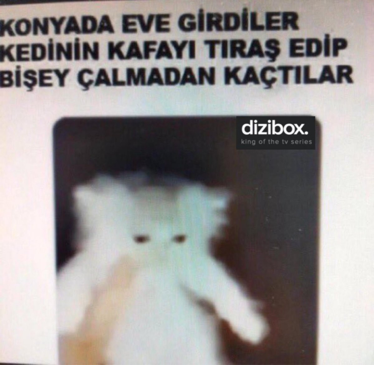 absurtolaylar's tweet photo. Bu tweetin altına internet aleminde gördüğünüz en absürt paylaşımı bırakın… ben başlıyorum https://t.co/I2S7vg85cG