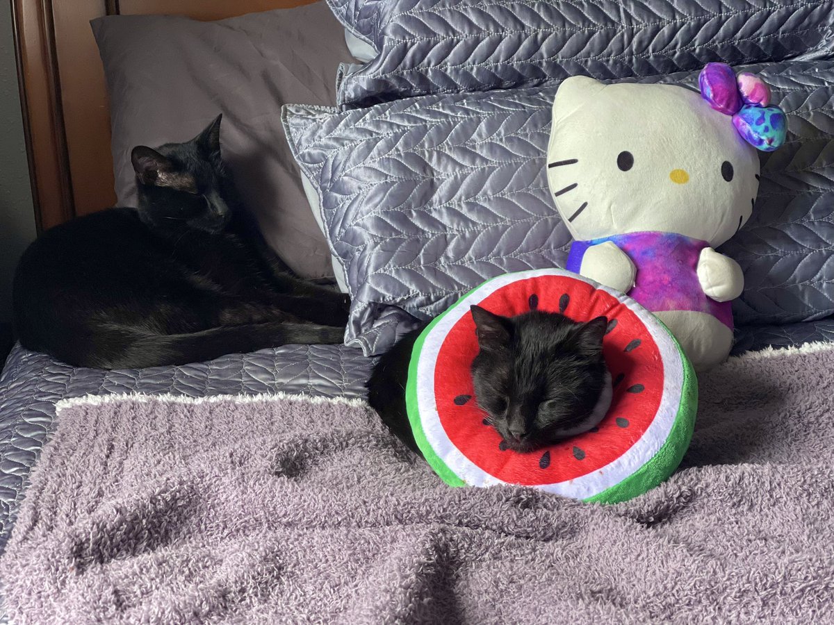 Frankie Winter tweet media