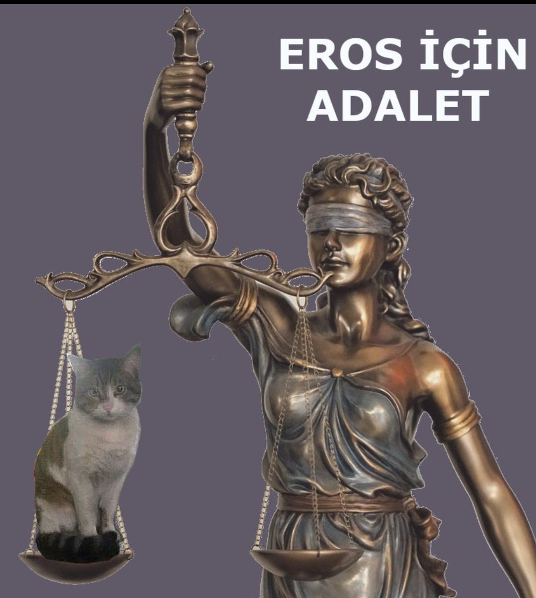 Ben kedi / köpek katilleri ile aynı havayı solumak istemiyorum!

Güvenlik istiyorum, huzur istiyorum, yaşanabilir bir ülke istiyorum.

#ErosİçinAdalet
Ve Diğer canlar adına 

A D A L E T İSTİYORUM ‼️

#ibrahimkeloğlanTUTUKLANSIN