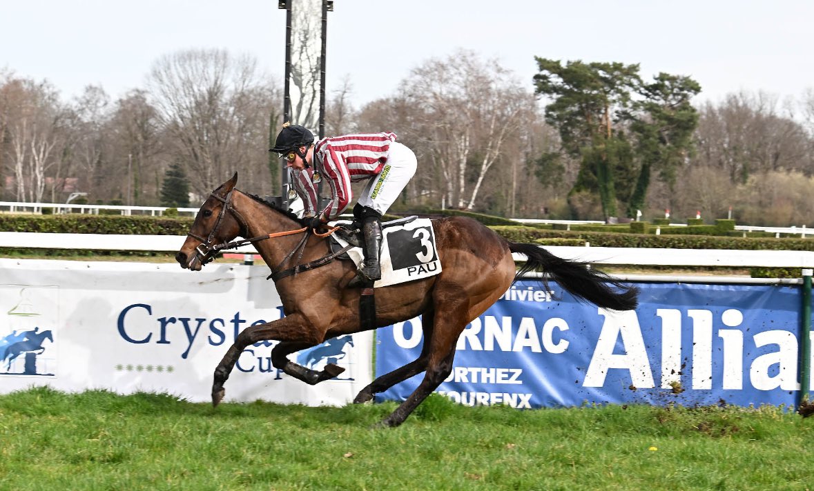 🎯Game of Storm (<a href="/harasduhoguenet/">Haras du Hoguenet</a> Motivator) wins the Prix Camille Dubosq Listed Race for <a href="/EcurieNicolle/">Ecurie Nicolle</a> and Jacques Detré <a href="/RomainDETRE1/">Romain DETRE</a> <a href="/DetrDetre/">Patrice Détré</a>
🇫🇷<a href="/InfoArqana/">ARQANA</a> purchase
Bravo 🎊🎈🎉
📸R.Polin