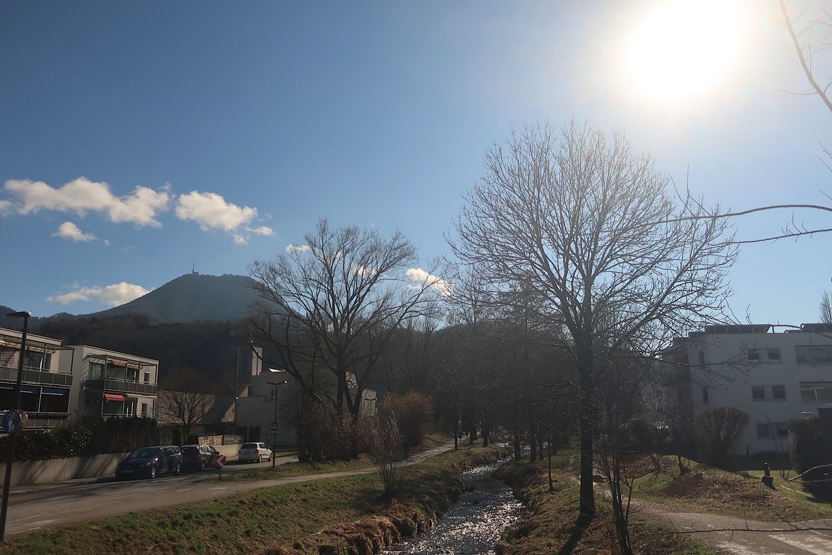 Auch am #Alterbach in #Salzburg #Gnigl und #Langwied war es heute sonnig und es waren einige #Stockenten dort. Mehr Fotos: claudia.co.at/sbg/am-alterba…