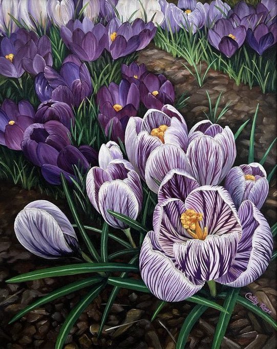 Purple Crocuses 
Cathy Rowe 🖌

#signsofspring 🌱