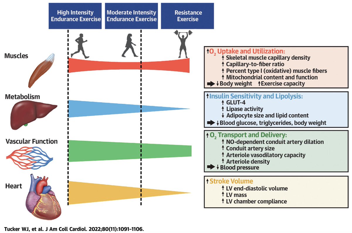 ChristophBurch's tweet photo. Exercise for Primary and Secondary Prevention of Cardiovascular Disease…
https://t.co/fcyDoQCCOH https://t.co/ji7d81qoj3