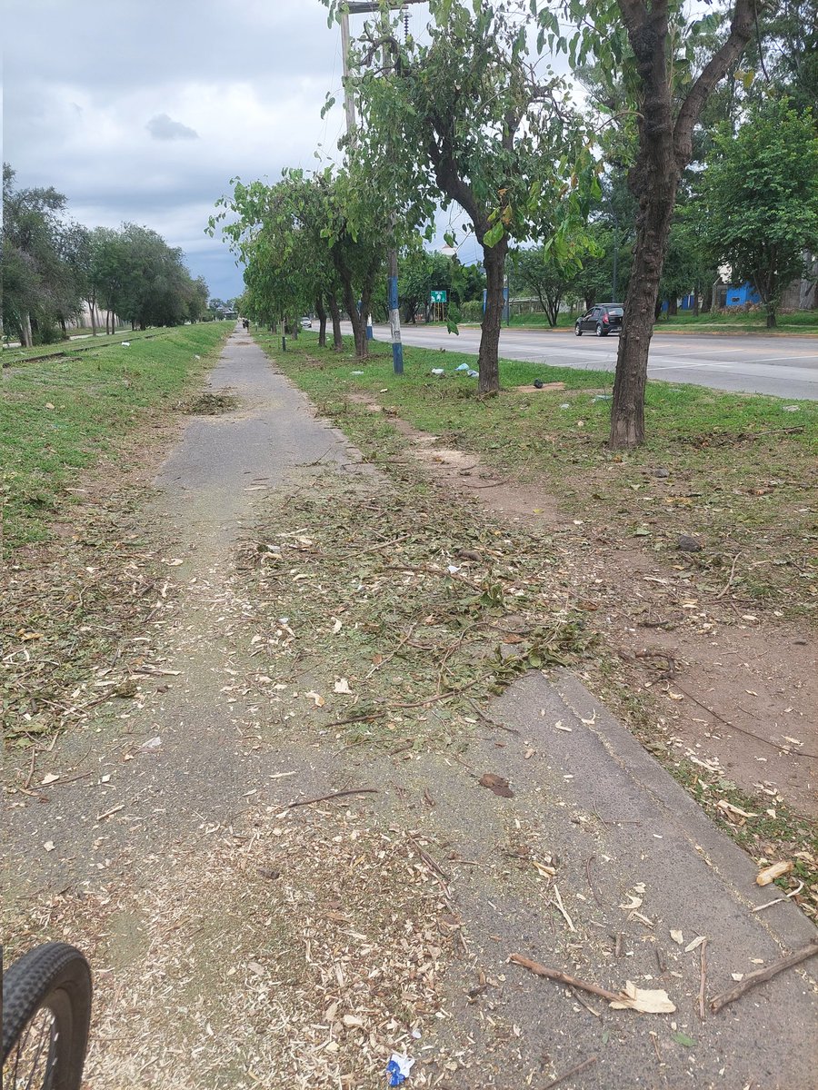 MarSub09's tweet photo. Parte de la ciclovia entre Cacheuta y av. Richieri un desastre! @PasseriniOk @ElDoce @roxicanal12 @fredybustos https://t.co/aAEI7tPMHu