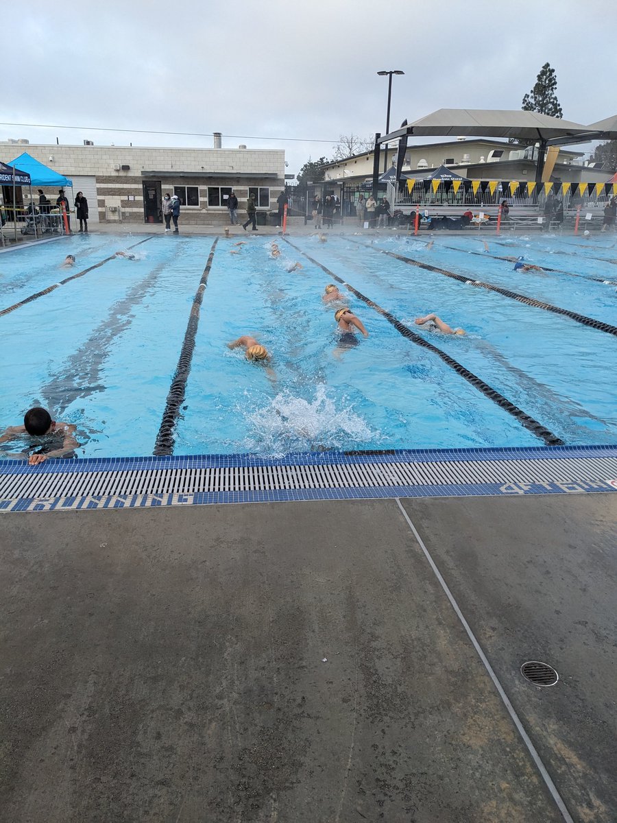 georgesy_09010's tweet photo. Metro Champs day two!! Go SGSG! #SGSGGOLD #SWIMCOACH https://t.co/vqEBHCRbNy