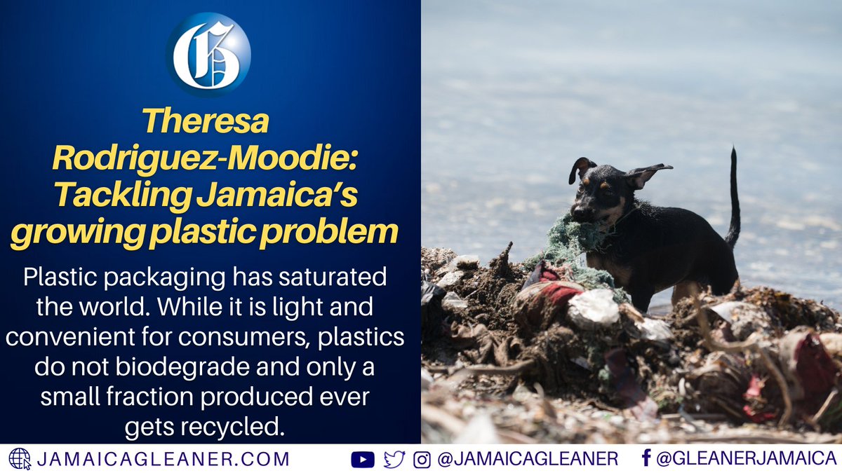 JamaicaGleaner's tweet photo. At a recent clean-up of Refuge Cay in Kingston Harbour, the depth of Jamaica’s plastic problem was painfully evident. Thick layers of plastic were entangled amidst the mangrove roots and floated in the nearby coastal waters.

Read more: https://t.co/auunl0qohg #GLNROped https://t.co/zdh3XqnUqA